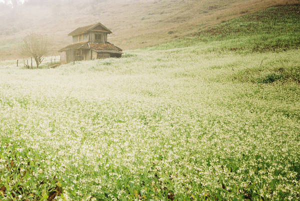 Khung cảnh tuyệt đẹp tựa như trong câu chuyện cổ tích thần tiên. Ảnh: Yen Nguyen/flickr.com